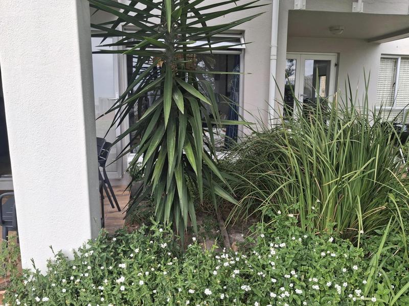 1 Bedroom Property for Sale in Vredehoek Western Cape